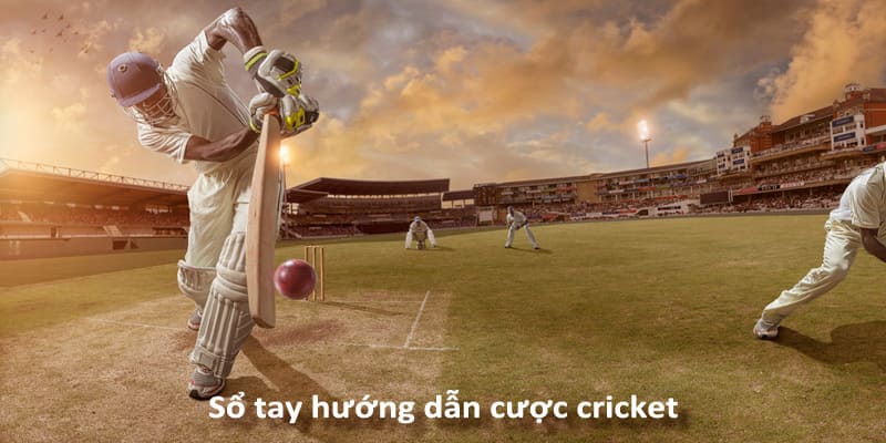 cá cược cricket bóng gậy