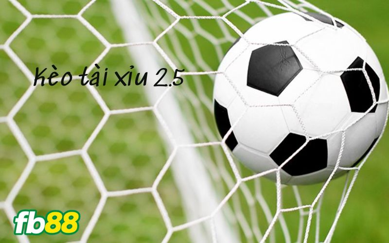 kèo tài xỉu 2.5