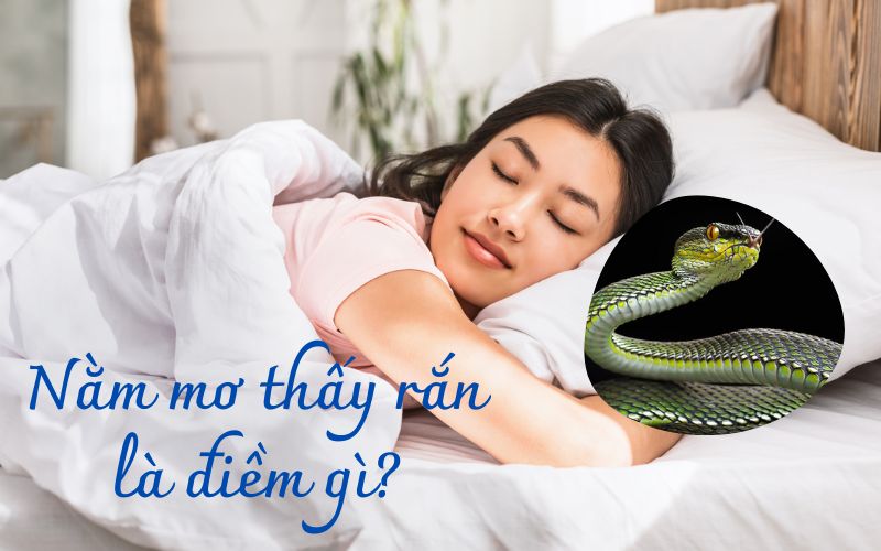 mơ thấy rắn
