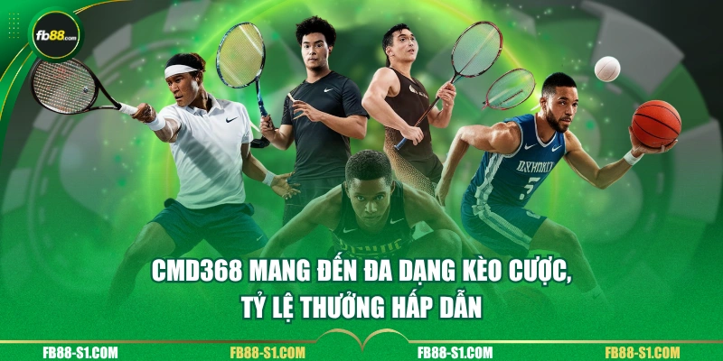 CMD368 mang đến đa dạng kèo cược, tỷ lệ thưởng hấp dẫn