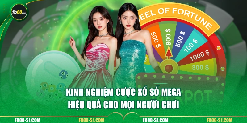 Kinh nghiệm cược xổ số Mega hiệu quả cho mọi người chơi