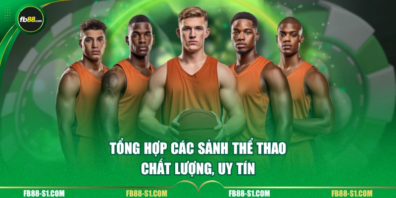 Tổng hợp các sảnh thể thao chất lượng, uy tín